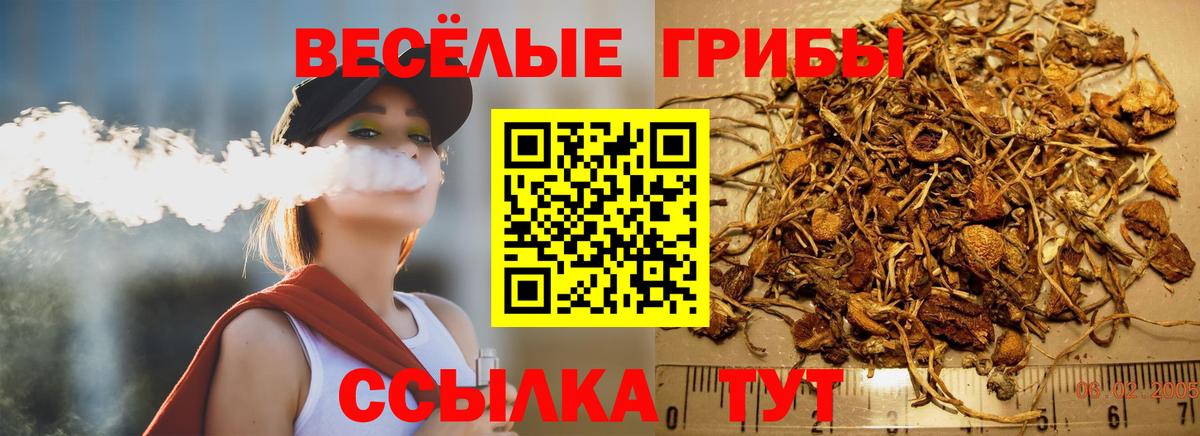 Псилоцибиновые грибы Cubensis Арзамас
