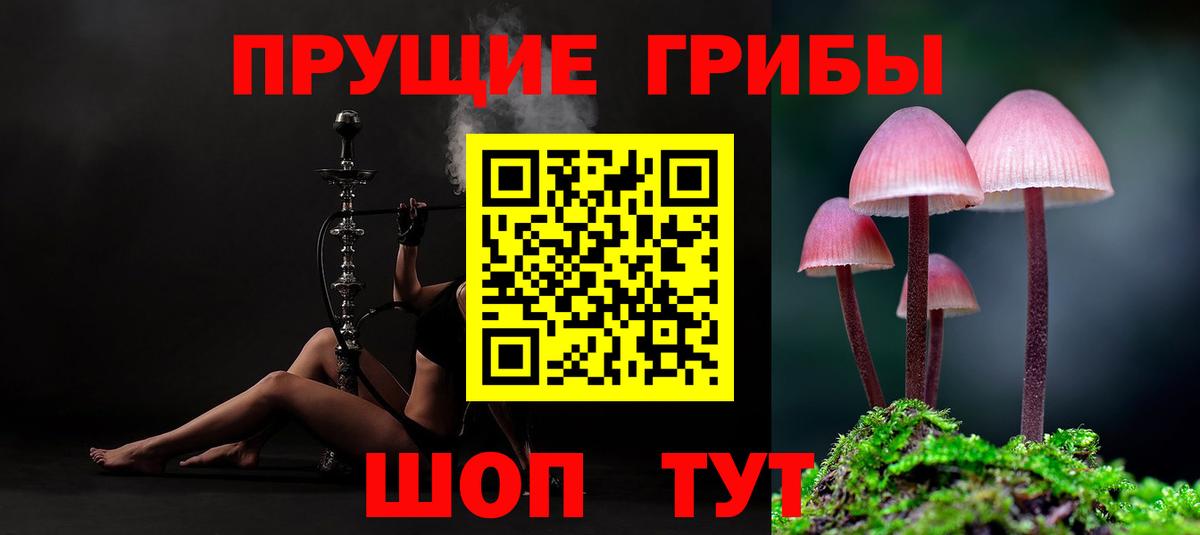 Псилоцибиновые грибы MAGIC MUSHROOMS  цены   Арзамас  Вход с VPN 